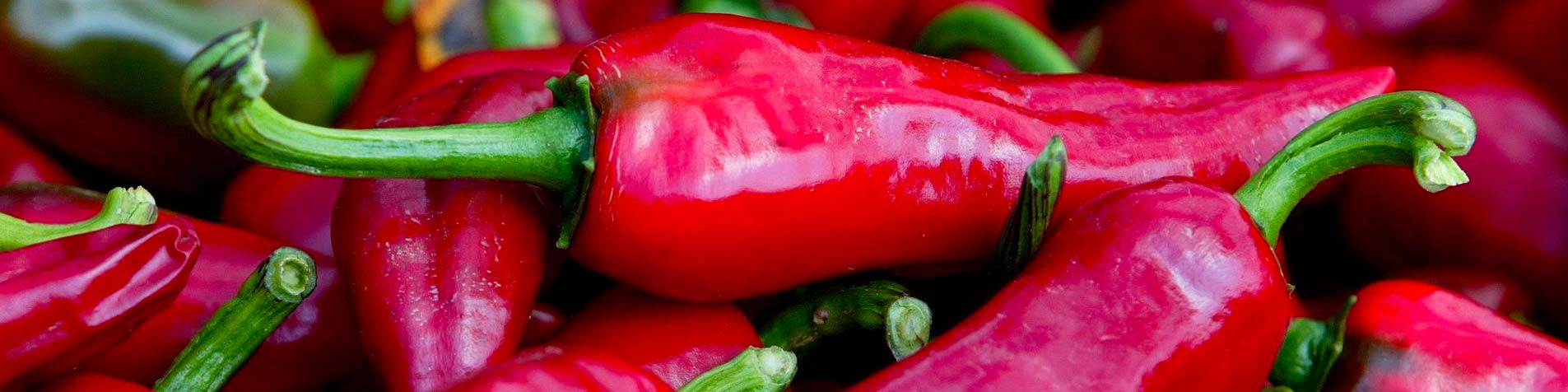 Piments d'Espelette séchés en corde - Meilleur du Chef