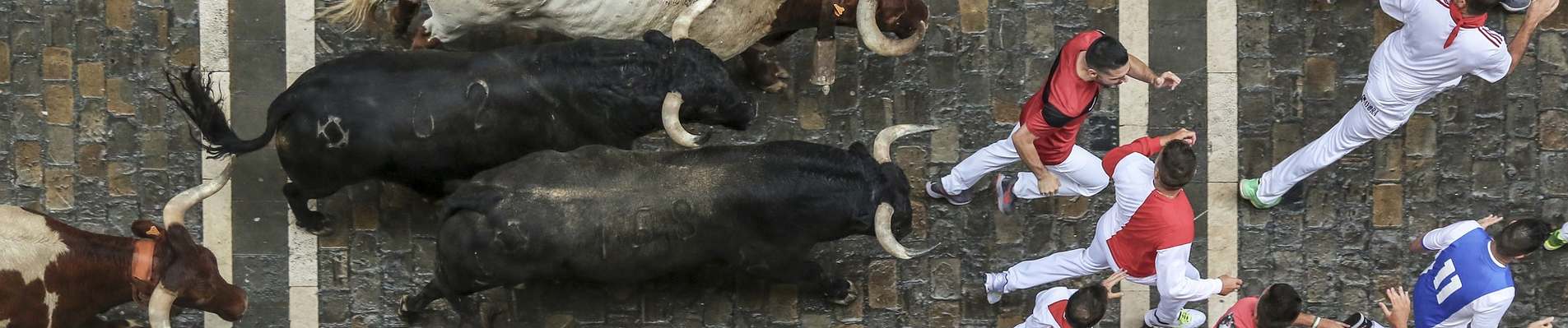 san fermin 2019