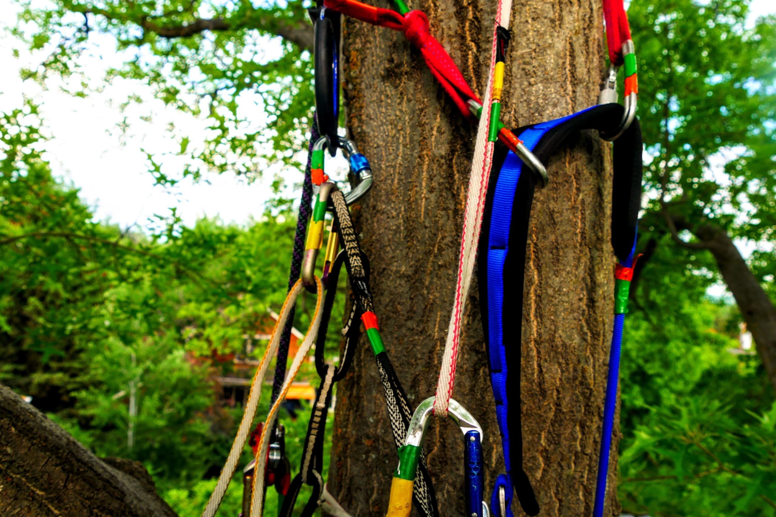 accrobranche pays basque Oihana Park