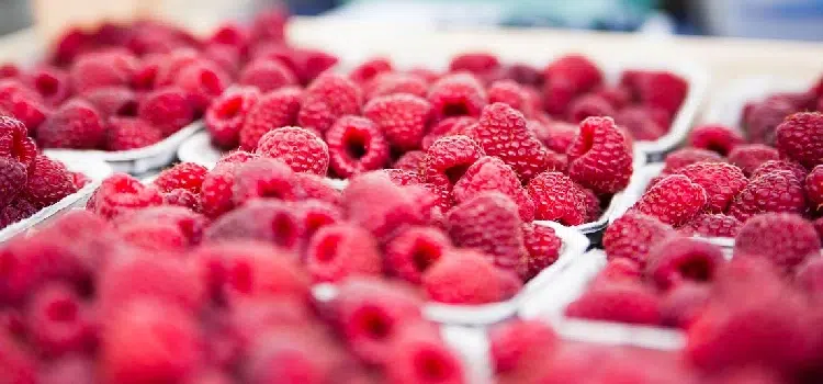 marchés à Biarritz